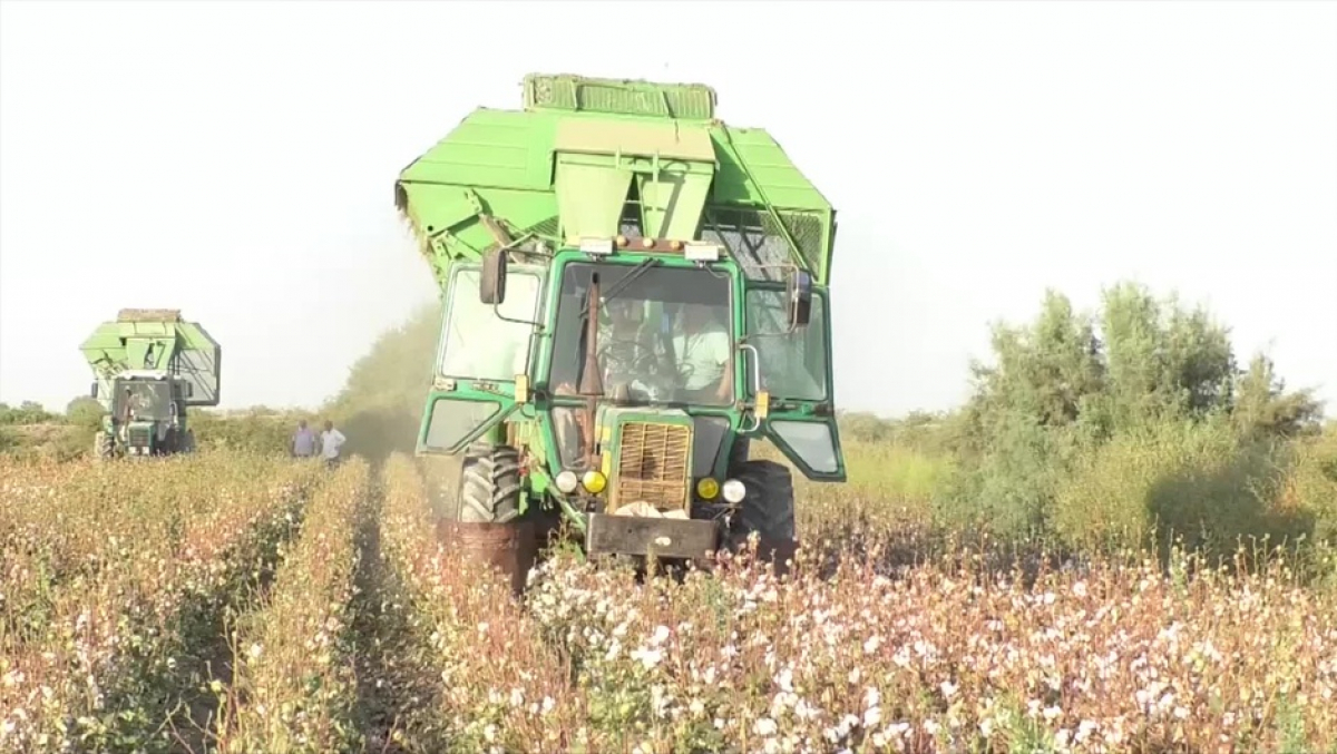 МАҚТА ТЕРІМ НАУҚАНЫ БАСТАЛДЫ