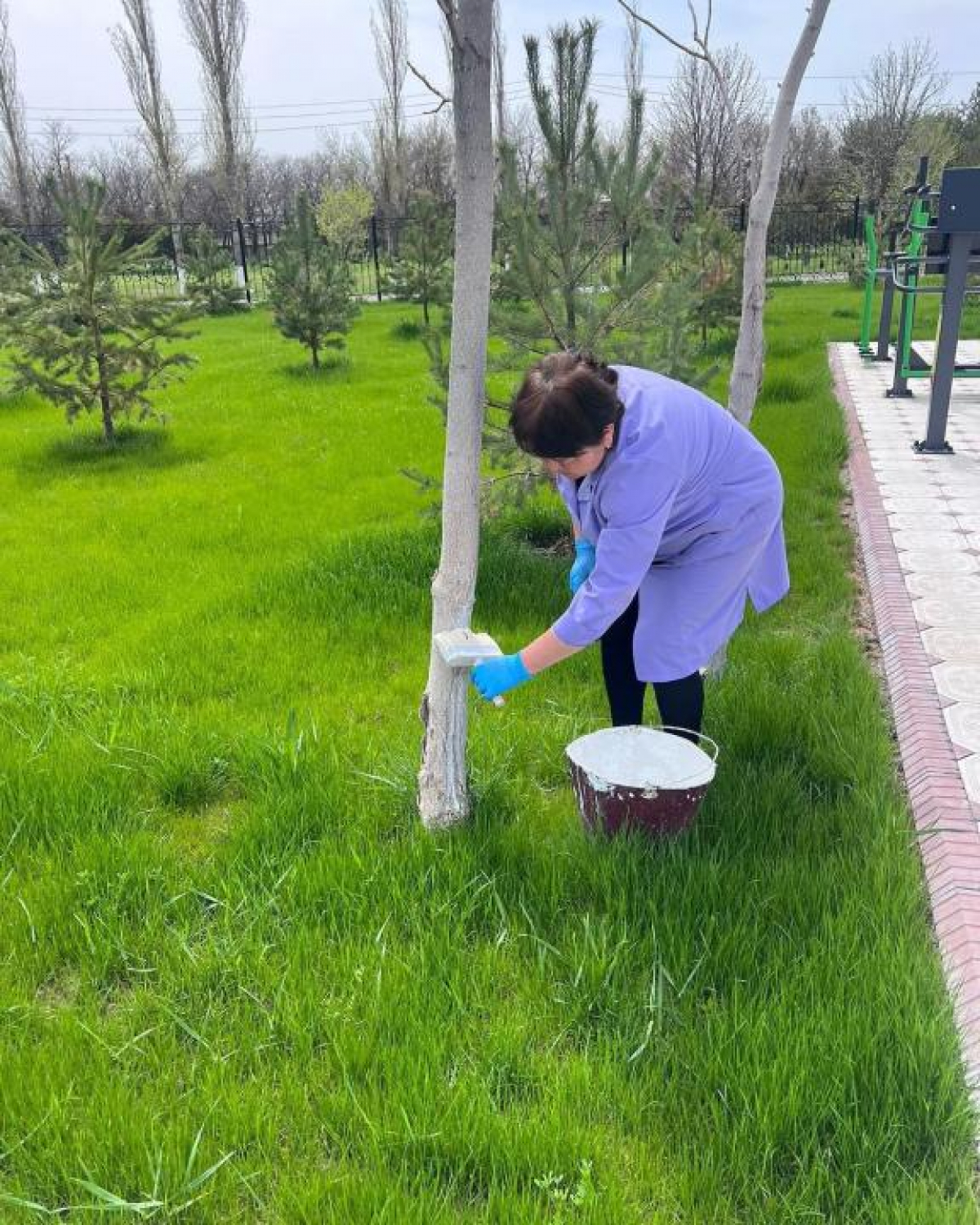 ТҮРКІСТАНДА «ТАЗА ӨЛКЕ – ТҮРКІСТАН» НАУҚАНЫ БАСТАУ АЛДЫ