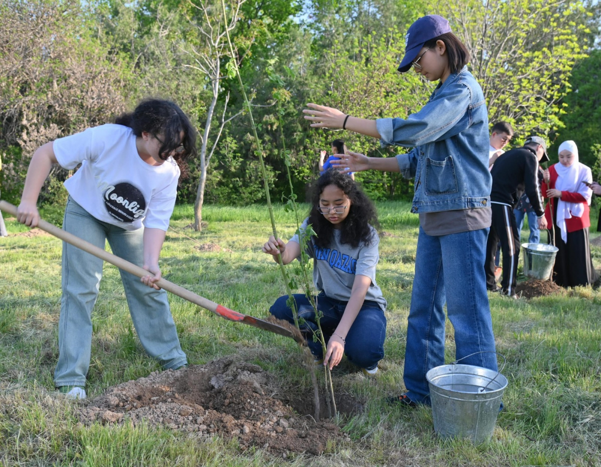 «ЖАСЫЛ АЙМАҚ» АПТАЛЫҒЫ:  ДЕНДРОСАЯБАҚҚА 50 - ге ЖУЫҚ АҒАШ ЕГІЛДІ