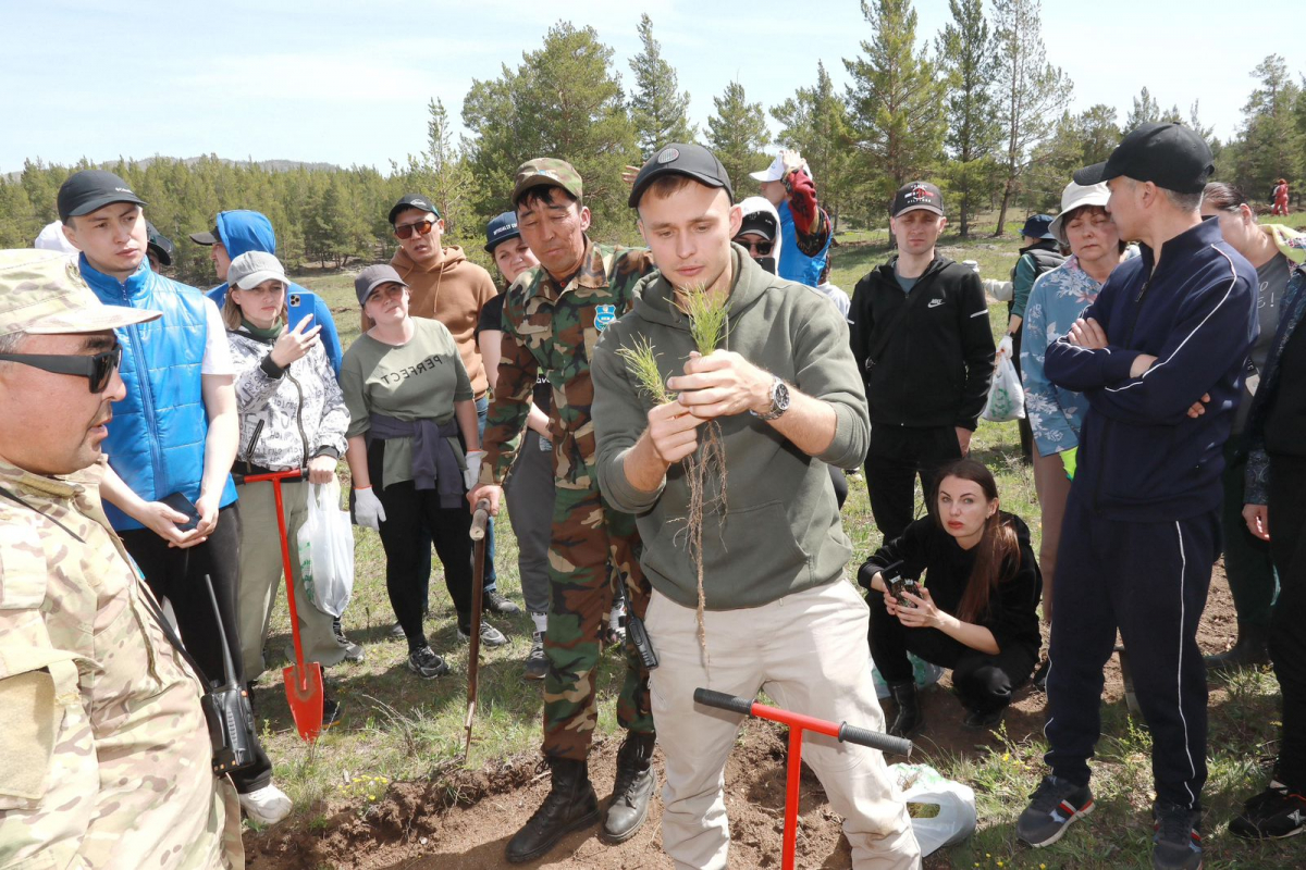В ВКО ВМЕСТЕ С ВОЛОНТЕРАМИ ПОСАДЯТ 29 МЛН САЖЕНЦЕВ