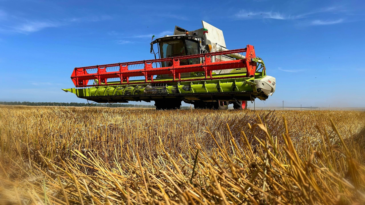 Шығыс Қазақстан облысы  – 2025 жылғы жинау науқаны: тұрақты өнім және аграршыларға қолдау