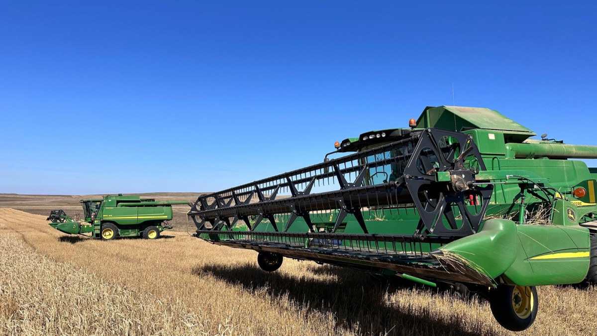 Ұлытау облысында егін жинау науқаны басталды