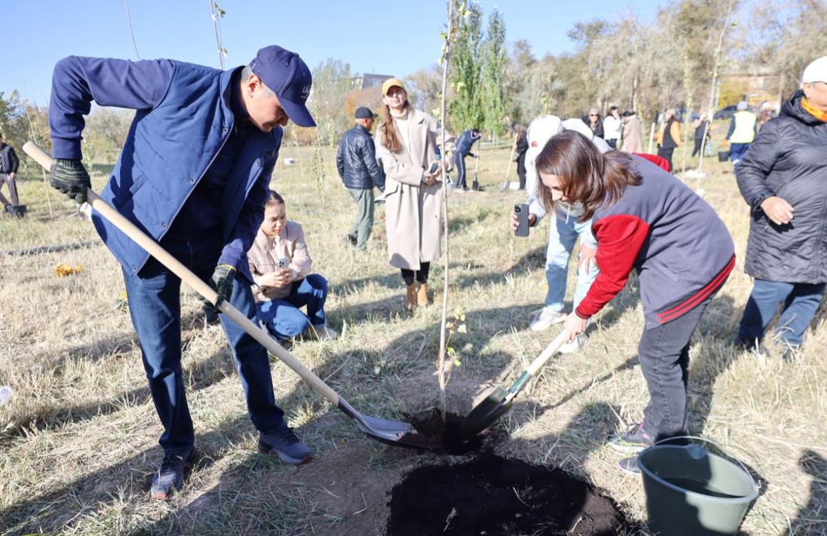 Ұлытау облысында 3000-нан аса ағаш отырғызылды
