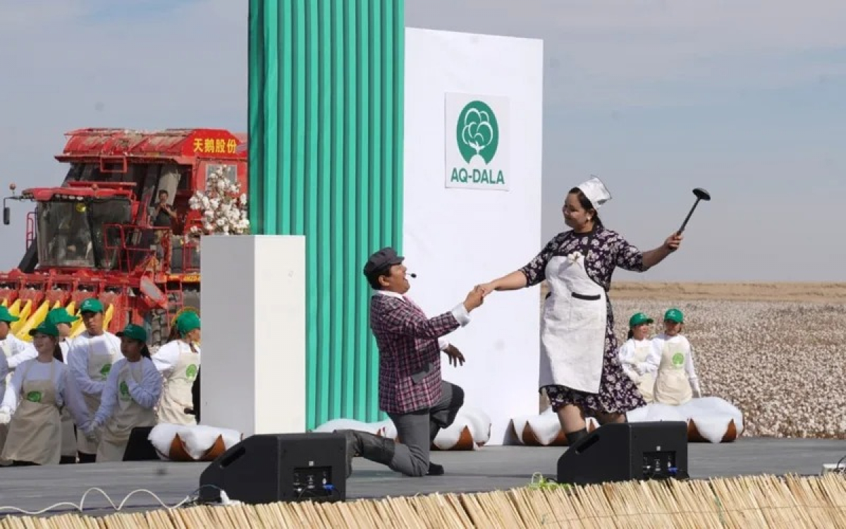 ТҮРКІСТАН ОБЛЫСЫ: «AQ-DALA» МАҚТАШЫЛАР ФЕСТИВАЛІ МӘРЕСІНЕ ЖЕТТІ